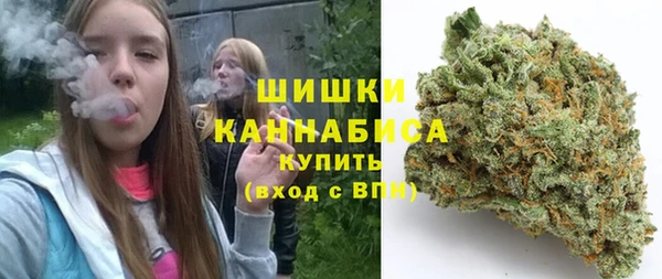 стаф Белокуриха